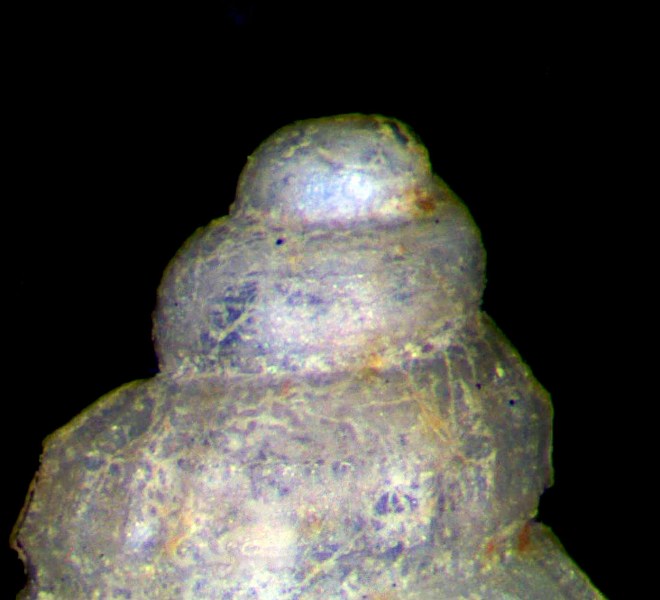 un aiutino per questa Alvania